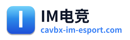 IM电竞